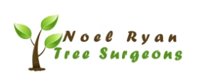 Noel Ryan Tree Surgeon Logo
