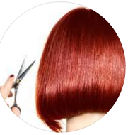 Sarai’s Mobile Hairdressing Logo